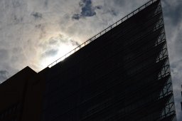 DSC 0080