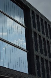 DSC 0164