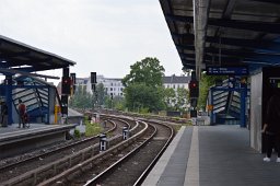 DSC 0212