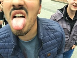 IMG 1265