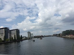 IMG 1371
