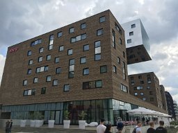 IMG 1483