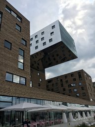 IMG 1486