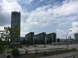 IMG 1517