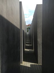 IMG 1549