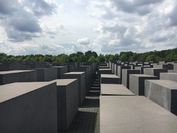 IMG 1573