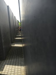 IMG 1584