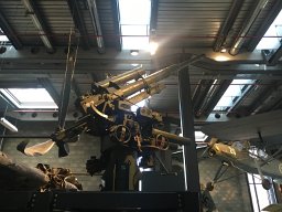 IMG 1764