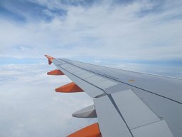 IMG 2246